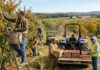 SE NECESITAN PEONES/AS AGRÍCOLAS PARA GRANJA DE FRUTAS (6 PUESTOS) NO REQUIERE EXPERIENCIA, SE CAPACITARÁ. PAGO $17.40 POR HORA Peones Agrícolas Granja de frutas Peones Agrícolas en Canadá Empleo sin experiencia en Canadá Farm Laborers Fruit Farm in Oliver Jobs in British Columbia Farm Laborers in Canada Empleos Urgentes