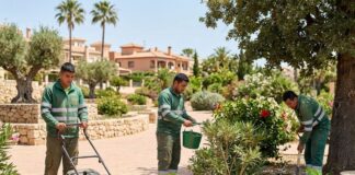 SE SOLICITAN PEONES AGRÍCOLAS Y JARDINEROS/AS (MÍNIMA EXPERIENCIA), 5 DÍAS A LA SEMANA. SALARIO COMPETITIVO Peones Agrícolas y jardineros en España farm workers gardener empleo en España Empleos Urgentes