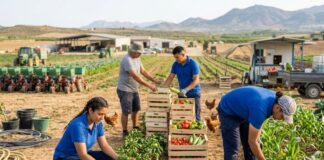 SE SOLICITA PERSONAL AGRÍCOLA (NO REQUIERE EXPERIENCIA PREVIA), BUEN SUELDO. CONTRATO TEMPORAL Personal Agrícola en España empleo en Barcelona Spain jobs farm workers Empleos Urgentes