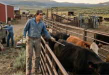 SE BUSCAN 3 TRABAJADORES/AS DE RANCHO GANADERO PARA GOOLSBY FARM SUPPLY EN DAWSON, GEORGIA (3 MESES DE EXPERIENCIA), TEMPORADA DE INVIERNO. PAGO DE $16.22 POR HORA Rancho de ganado en Estados Unidos Trabajadores ganaderos farm workers USA jobs Empleos en Estados Unidos Empleos Urgentes