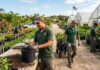 SE NECESITA TRABAJADOR/A DE VIVERO PARA PRODUCCIÓN DE ÁRBOLES EN FARMINGTON, CALIFORNIA (SE PREFIERE EXPERIENCIA), LUNES A VIERNES. PAGO DE $17 A $21 POR HORA Vivero de plantas en Estados Unidos Nursery USA jobs Empleos en Estados Unidos farm workers Empleos Urgentes Trabajadores de vivero en Arizona