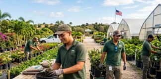 SE BUSCAN 6 TRABAJADORES/AS PARA VIVERO DE PLANTAS, NO REQUIERE EXPERIENCIA. SUELDO $2845 POR MES Vivero de plantas en Estados Unidos Nursery USA jobs Empleos en Estados Unidos farm workers Empleos Urgentes