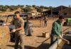 SE SOLICITA PEÓN GANADERO/AGROPECUARIO (CON O SIN EXPERIENCIA), CONTRATO INDEFINIDO. SALARIO 1500 € MENSUALES Ganadero Peon ganadero agropecuario en España spain jobs ofertas de empleo en España Finca en España Empleos Urgentes