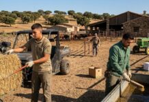 SE SOLICITA PEÓN GANADERO/AGROPECUARIO (CON O SIN EXPERIENCIA), CONTRATO INDEFINIDO. SALARIO 1500 € MENSUALES Ganadero Peon ganadero agropecuario en España spain jobs ofertas de empleo en España Finca en España Empleos Urgentes