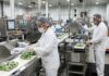 SE NECESITA OPERARIO/A DE PRODUCCIÓN EN PLANTA DE ALIMENTOS (CON O SIN EXPERIENCIA), EMPLEO PERMANENTE. TURNOS DIURNOS, BUEN PAGO Operario de Producción en Planta de Alimentos en Canadá empleo en Nueva Escocia empleo sin experiencia en Canadá Production Operator in Food Plant in Canada Empleos Urgentes