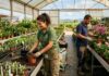 SE PRECISAN OPERARIOS/AS DE VIVERO E INVERNADERO (10 VACANTES), MÍNIMA EXPERIENCIA. JORNADA COMPLETA, BUEN SALARIO Operarios de Vivero e Invernadero en España peones agrícolas en España Empleo en Valdejalón Empleo en Zaragoza Nursery and Greenhouse Workers in Spain Empleos Urgentes