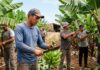 SE SOLICITAN PEONES/AS AGRÍCOLAS PARA FINCAS DE PLÁTANOS (12 VACANTES). INCORPORACIÓN INMEDIATA, BUEN SUELDO Y BENEFICIOS Peones Agrícolas para Fincas de Plátanos en España Agricultural Laborers for Banana Farms in Spain Empleos Urgentes