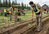 SE SOLICITAN PEONES AGRÍCOLAS CON O SIN EXPERIENCIA, PARA LABORES DE CAMPO. TIEMPO PARCIAL, TURNO DE MAÑANA Peones agrícolas en Costa Rica farm workers empleo en Costa Rica finca en Costa Rica jobs Empleos Urgentes