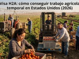 Visa H2A cómo conseguir trabajo agrícola temporal en Estados Unidos (2026) Empleos Urgentes