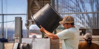 SE BUSCA OPERARIO/A DE PRODUCCIÓN PARA FÁBRICA DE PINTURAS EN BECCAR, SAN ISIDRO, VÍA ESTRATEGIA RRHH (2 AÑOS DE EXPERIENCIA Y SECUNDARIO), TIEMPO INDETERMINADO. LUNES A VIERNES Operario de Producción en Beccar, Buenos Aires